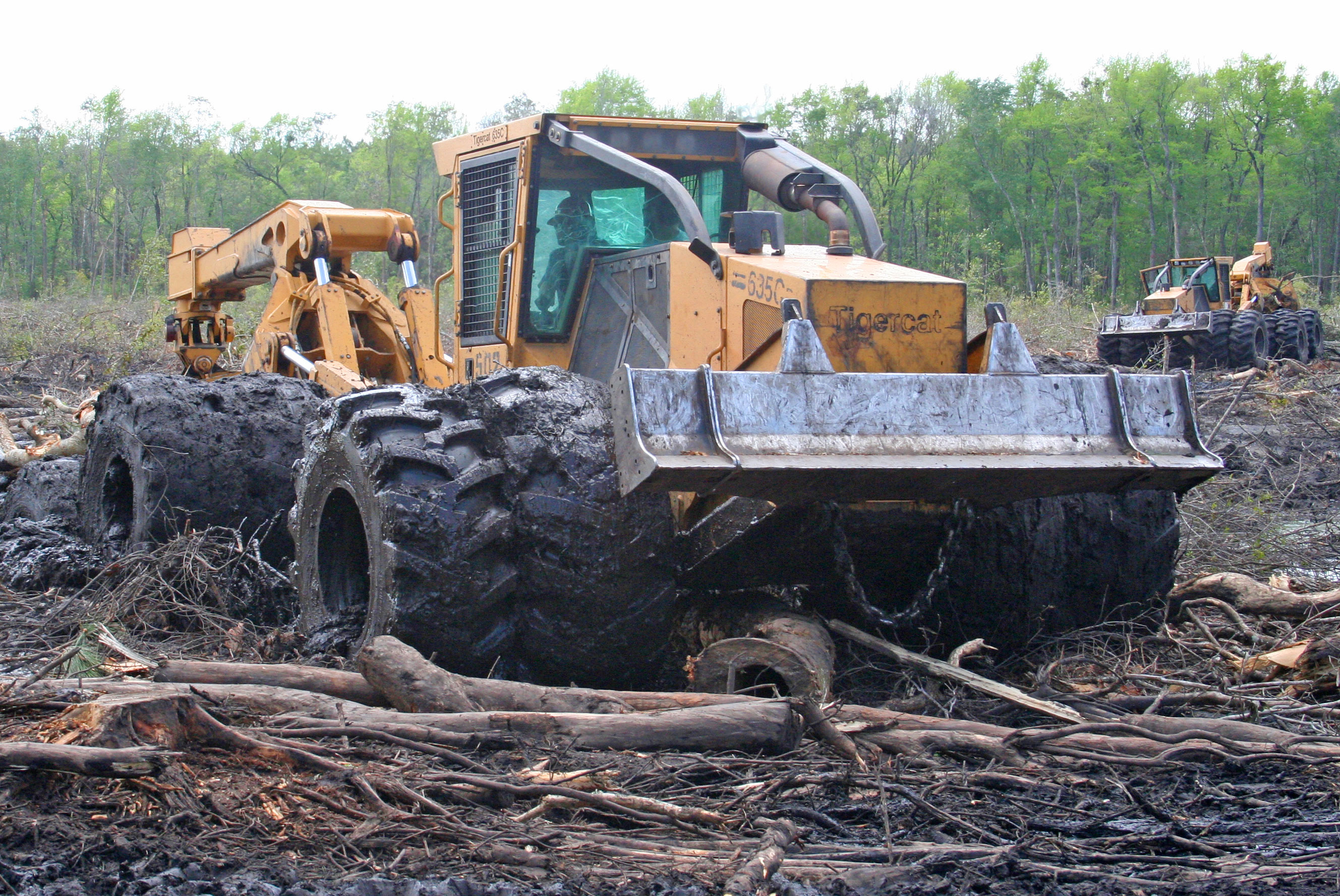 Forestry Tires 